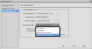 It does let me choose my colorspace but i guess since i'm shooting raw it doesn't matter. Color Management Settings For Print In Photoshop Elements