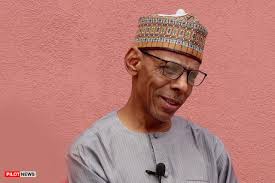 Peter Obi's running mate's brother, Hakeem Baba-Ahmed becomes VP Shettima's  special adviser -