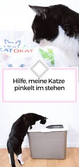 Ich habe des öfteren mehrere freunde zu besuch, sowohl männliche als auch weibliche. Ein Stilles Ortchen Fur Samtpfoten Catokay Organic Calistas Traum Katzen Klo Katze Pinkelt Katzen