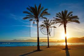 In totaal gaat het om bijna 15 kilometer strand, in en rondom het albufera. Cullera Playa Los Olivos Strand Sonnenuntergang In Valencia Fototapete Fototapeten Tour Tourismus Kustenvorland Schone Myloview De