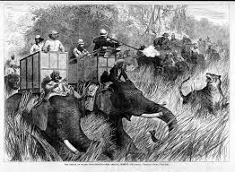 PRINCE OF WALES HUNTING SHOOTING TIGERS ...