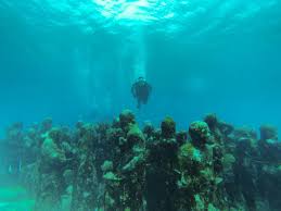 Diving Musa Cancun The Underwater Museum In Mexico That Needs To Be On Your Bucket List Jen On A Jet Plane