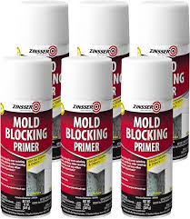 How To Get Rid Of Mold Spores In The Air
