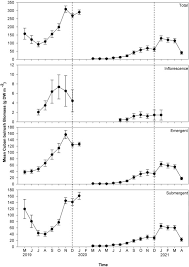 Image result for Oxycaryum
