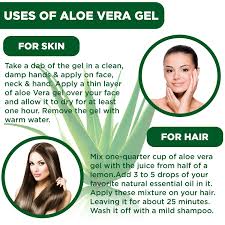 But what about aloe vera in hair? Kazima Aloe Vera Gel Raw 100 Pure Natural Gel Ideal For Skin Face Acne Scars Hair Moisturizer Dark Circles 1 Kg Amazon In Beauty