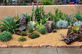 34 Sharp Cactus Garden Ideas Succulent Landscape Design Succulent Garden Design Rock Garden Landscaping