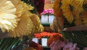212 estates dr, roseville, ca 95678, usa. 7 Great Flower Shops In Sacramento Arden Arcade And Roseville Ca Gardening Channel