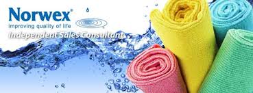Improving quality of lifeby radically reducing chemicalsin our homes. Selina Burgess Independent Norwex Consultant Posts Facebook