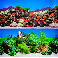 We did not find results for: Aquarium Fish Tank Background Double Sided 19 50cm High 2 To 10 Ft Lengths Ebay