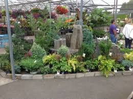 Al S Garden Center Woodburn Or Display Is All Containers And Fountains Garden Nursery Garden Center Garden