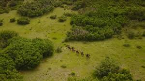 We did not find results for: Soco Endurance Endurance Venue In La Veta Colorado Home Of The Spanish Peaks