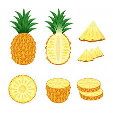 Set Of Pineapple Whole And Slices Illustration Vector In 2020 Pineapple Illustration Fruit Vector Illustration