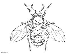 And you can freely use images for your personal blog! Coloring Page Wasp Free Printable Coloring Pages Img 5692
