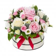 Check spelling or type a new query. Hatboxes Flowers Carluke Hatboxes Flowers Delivery By Moodycows Florist