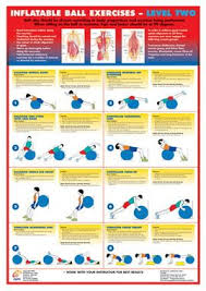 Exercise Charts For Stability Ball Balance Ball Swiss Ball