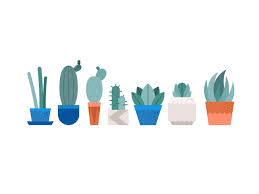 Succulents 2 Succulents Illustration Illustration Vector Illustration