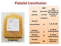 Image result for Platelet Transfusion