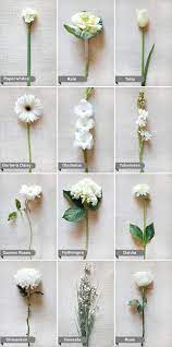White Flower Guide Flower Guide Wedding Flower Guide White Wedding Flowers