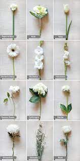 Flowers come in thousands of different shapes and color combinations, each with their own name and classification. Tropical Elegance Flower Guide Wedding Flower Guide White Wedding Flowers