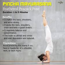 Pin By Shruti Rao On Nice Yoga Yoga Postures Types Of Yoga Different Types Of Yoga