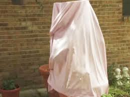 For your potted plants and potted color arrangements simply bring them inside until the freezing weather has subsided. How To Protect Plants Flowers From Frost Howcast