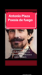 La voz del inválido: Poema de Antonio Plaza y Llamas