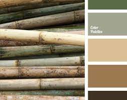 We did not find results for: Beige And Brown Brown And Green Cold Shades Of Brown Color Of Bamboo Colors For Eco Design Dark Brown Color Palette Brown Color Schemes Room Color Schemes