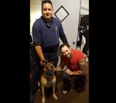 Tika, bomb-sniffing dog, dies