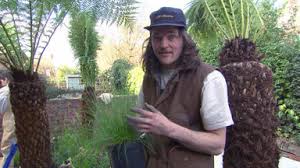 intro ja, huh, ha, mein garten (mein garten) mein garten (mein garten) yeah, ha. Sendung Verpasst Garden Rescue Wer Rettet Meinen Garten Ein Luxurioser Terrassen Garten Auf Rtl
