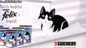 Felix Kedi Mamasi Akilli Kedi Reklami Youtube
