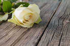 Maybe you would like to learn more about one of these? Long Beach Wrongful Death Lawyer The Beliz Law Firm