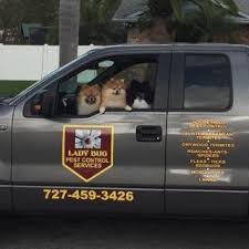 Call new port richey wildlife removal for animal removal and wildlife control throughout harris, montgomery and walker counties. Ladybug Pest Control Services Home Facebook