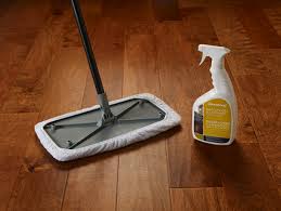Floor cleaning in Lapeer MI