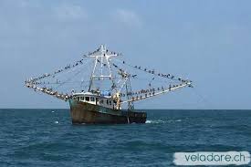 Panama Iles De Las Perlas Sud In 2020 Fischerboot Segeln Kleines Boot