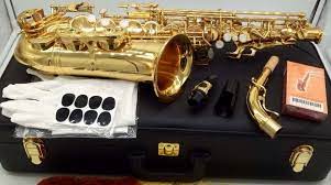 Discover the best saxophone brands and know what is the best saxophone. 5 Best Professional Alto Saxophones Reviewed In Detail Jul 2021