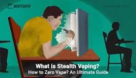 Image result for what is stealth in vape