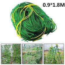 Gardeners.com has been visited by 10k+ users in the past month Buy Garden Net Climbing Plant Plastic Support Mesh Netting Clematis Pea Bean Trellis At Affordable Prices Free Shipping Real Reviews With Photos Joom