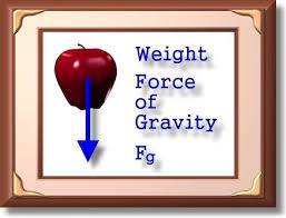 What could be more familiar than gravity? Explanation Of Weight Mass And Gravity Homeschool Science Online Science Physical Science Activities