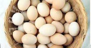 Resultado de imagen para huevos orgánicos