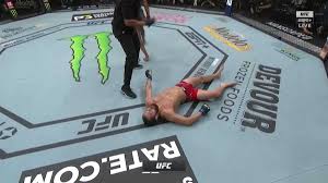 Турнир ufc 261, бой за титул в полусреднем весе: Iuimlsjimdt Dm
