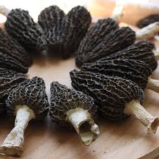 When working with dried mushrooms, you'll want to reconstitute them. Wholesale Price Of Black Morel Mushroom Dried Morels Mushroom Price Buy Dried Morels Mushrooms Price Of Black Morel Mushroom Morels Mushroom Price Product On Alibaba Com
