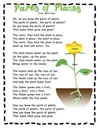 Parts Of Plants Poem Plant Song Plant Science Teaching Plants