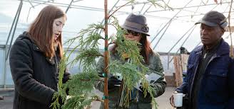 On the invoice they stated crop failure on one of the berry bushes and the charges were deducted properly. Frequently Asked Questions Trees Seattle Gov