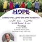 HOPE Dementia Support Group – Hampton Inn Salmon... event in Vancouver, WA