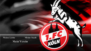 Fc köln trainingsjacke mit kapuze die 1. 1 Fc Koln Wallpapers Wallpaper Cave