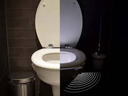 Hasil gambar untuk TOILET