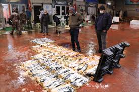 Bursa büyükşehir belediyesi sebze ve meyve hal müdürlüğünde bugün saat 11:00 itibarı ile oluşan fiyatlar aşagıdaki gibidir./ i̇zmir su ürünleri fiyatları 02.04.2019balık hali'nde bugün saat 11:00 itibarı ile oluşan fiyatlar aşağıdaki gibidir. Eregli Balik Hali Nde En Sakin Mezat