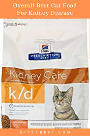 Catinfo.org is the best source for all feline diet related questions and there is a special section for cat. The Best Cat Food For Kidney Disease Complete Review And Buying Guide Best Cat Food Cat Food Urinary Tract Cat Food