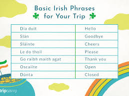 The international phonetic alphabet (ipa) is a system of phonetic notation devised by linguists to accurately and uniquely represent each of the wide variety of sounds ( phones or phonemes ) used in spoken human language. Common Irish Phrases And Words You Might Need