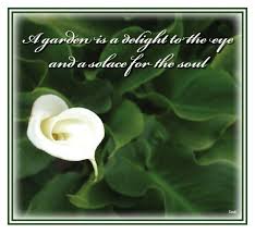 Quotes For Gardeners Quotations Superimposed Over Photos Garden Quotes Calla Lily White Gardens